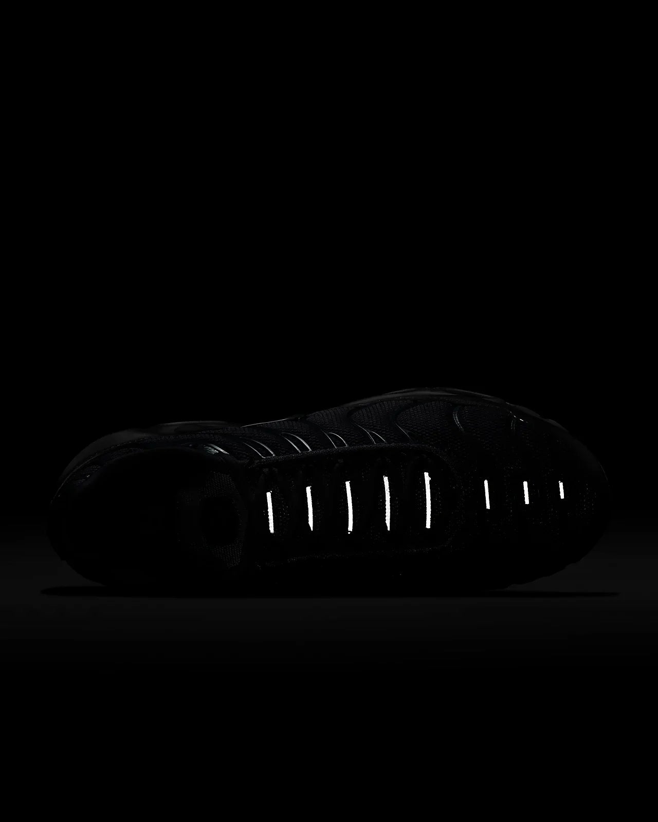 Nike TN Air Max Plus