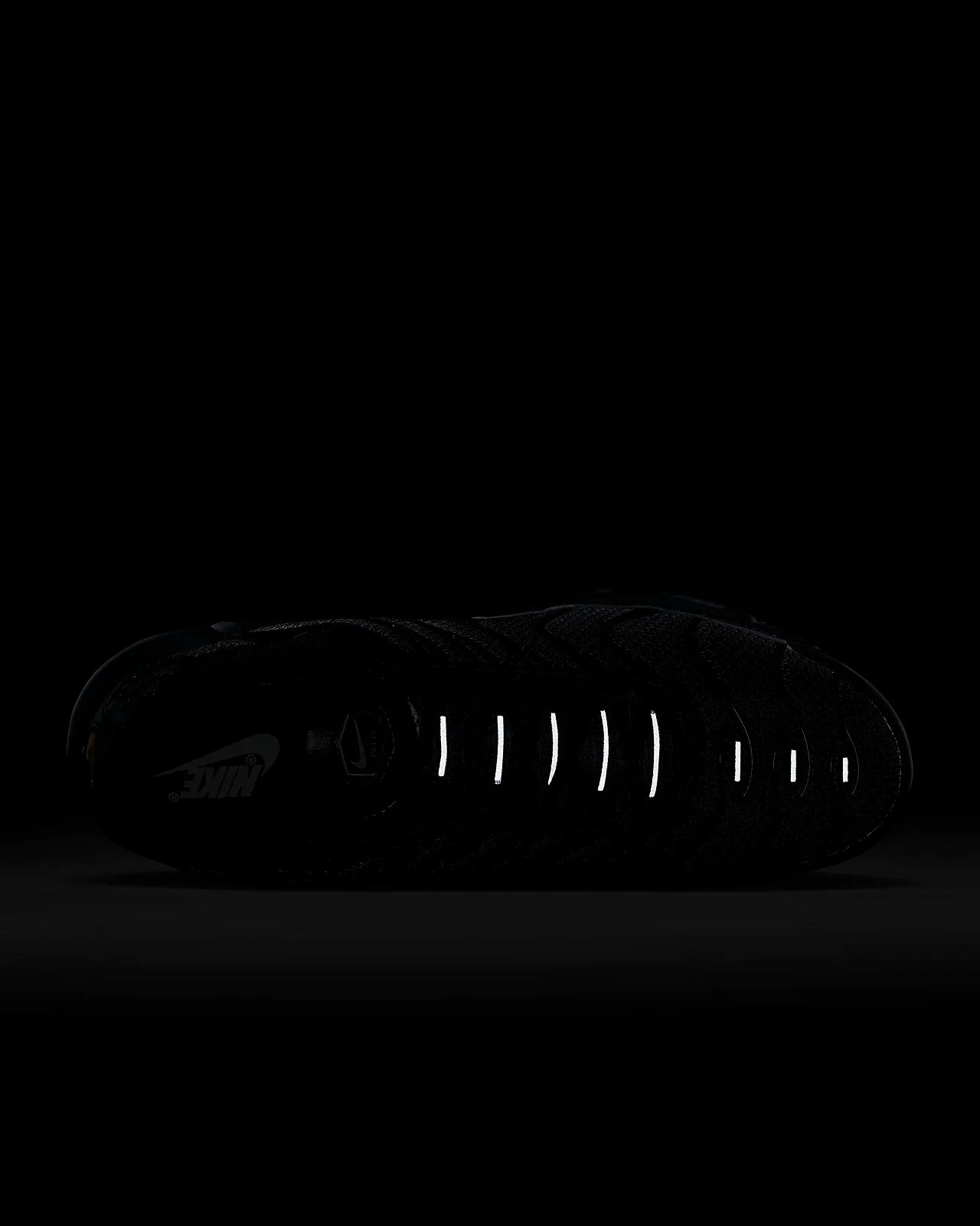 Nike TN Air Max Plus